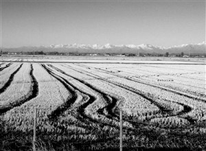 Image description is not available for 2006.002